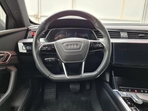 Audi e-tron NII Ruhe Modelo 2020 21 mil kms. $1,750,000.00